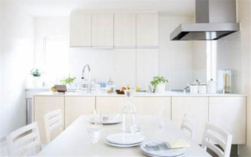 紫竹林膩子粉 進口原料鑄就卓越品質，打造行業口碑品牌與代理機遇